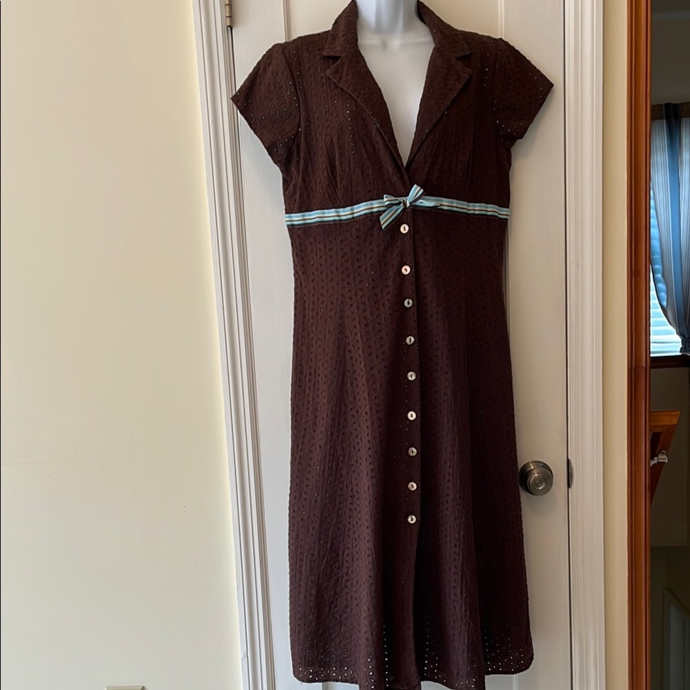 Brown Button-Down Dress with Blue Accents